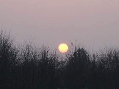 ����ũ��� ����