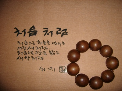 ����ũ��� ����