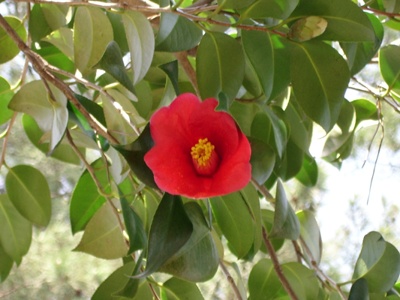 ����ũ��� ����