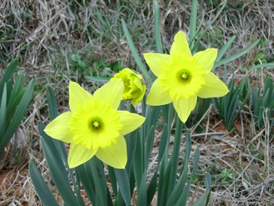 ����ũ��� ����