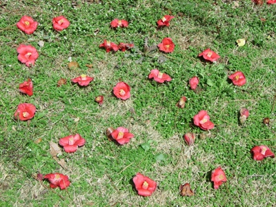 ����ũ��� ����