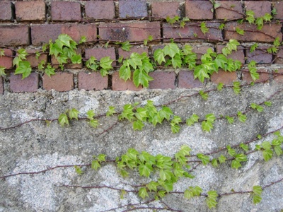 ����ũ��� ����