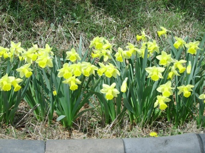 ����ũ��� ����