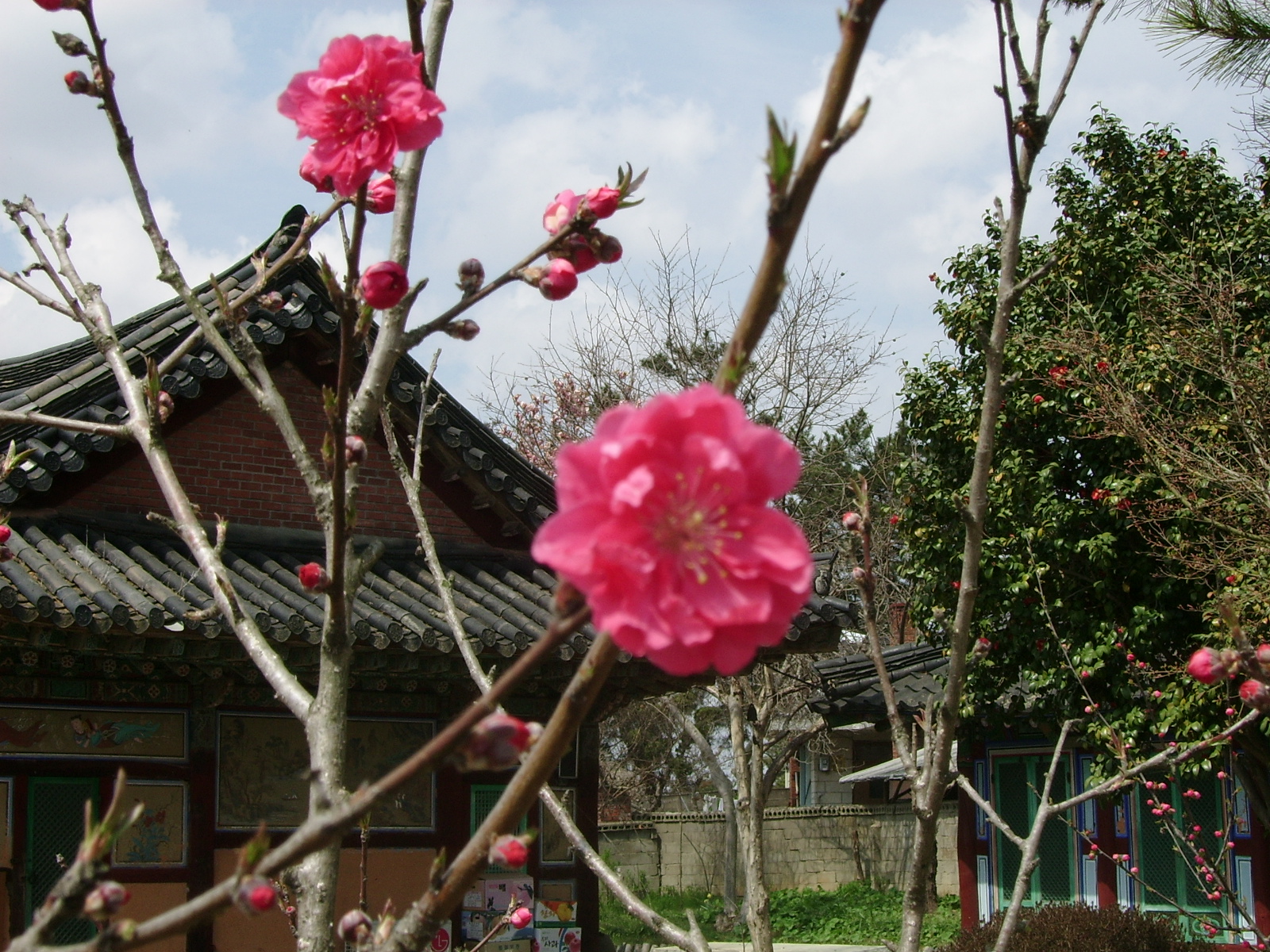 ����ũ��� ����