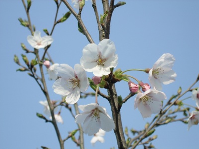 ����ũ��� ����