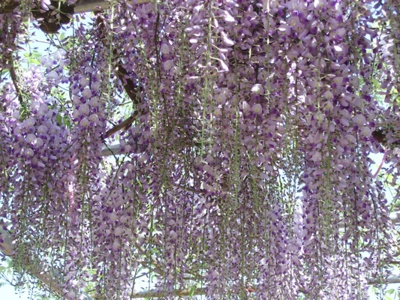 ����ũ��� ����