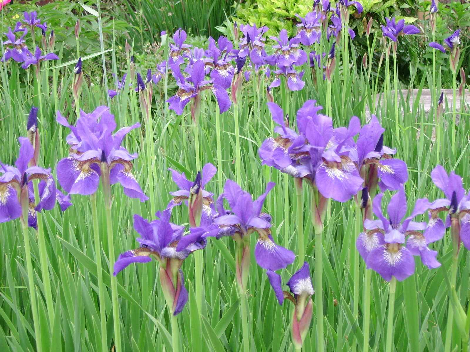 ����ũ��� ����