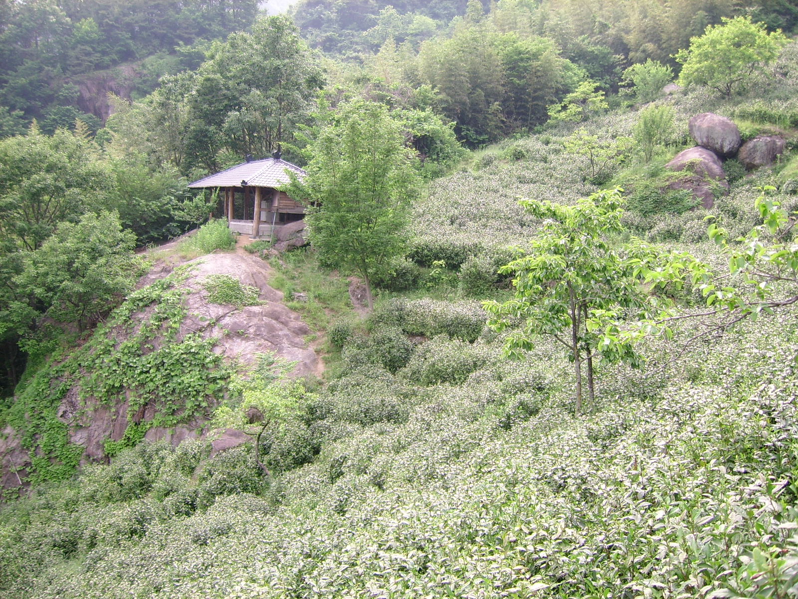 ����ũ��� ����