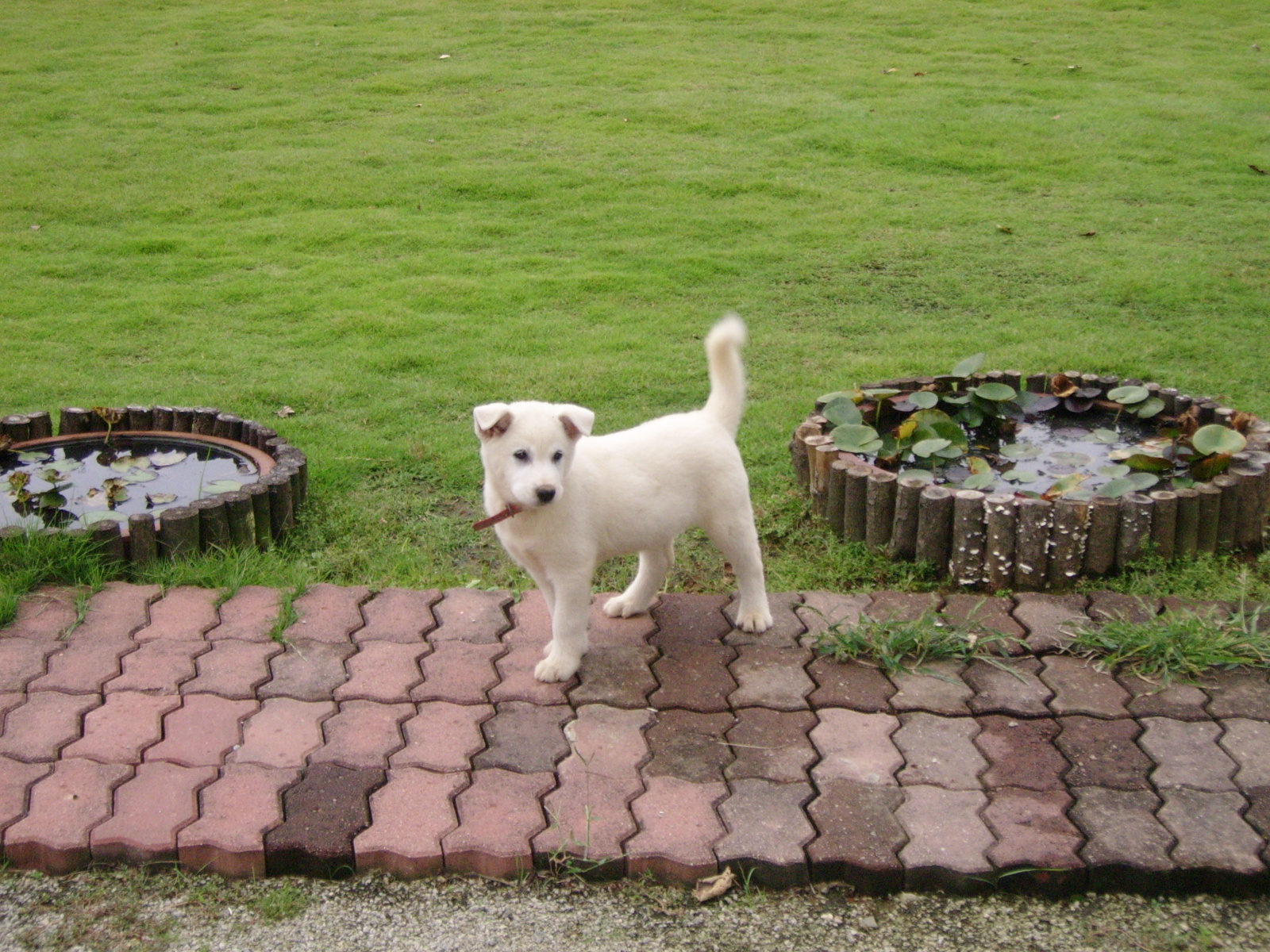 ����ũ��� ����