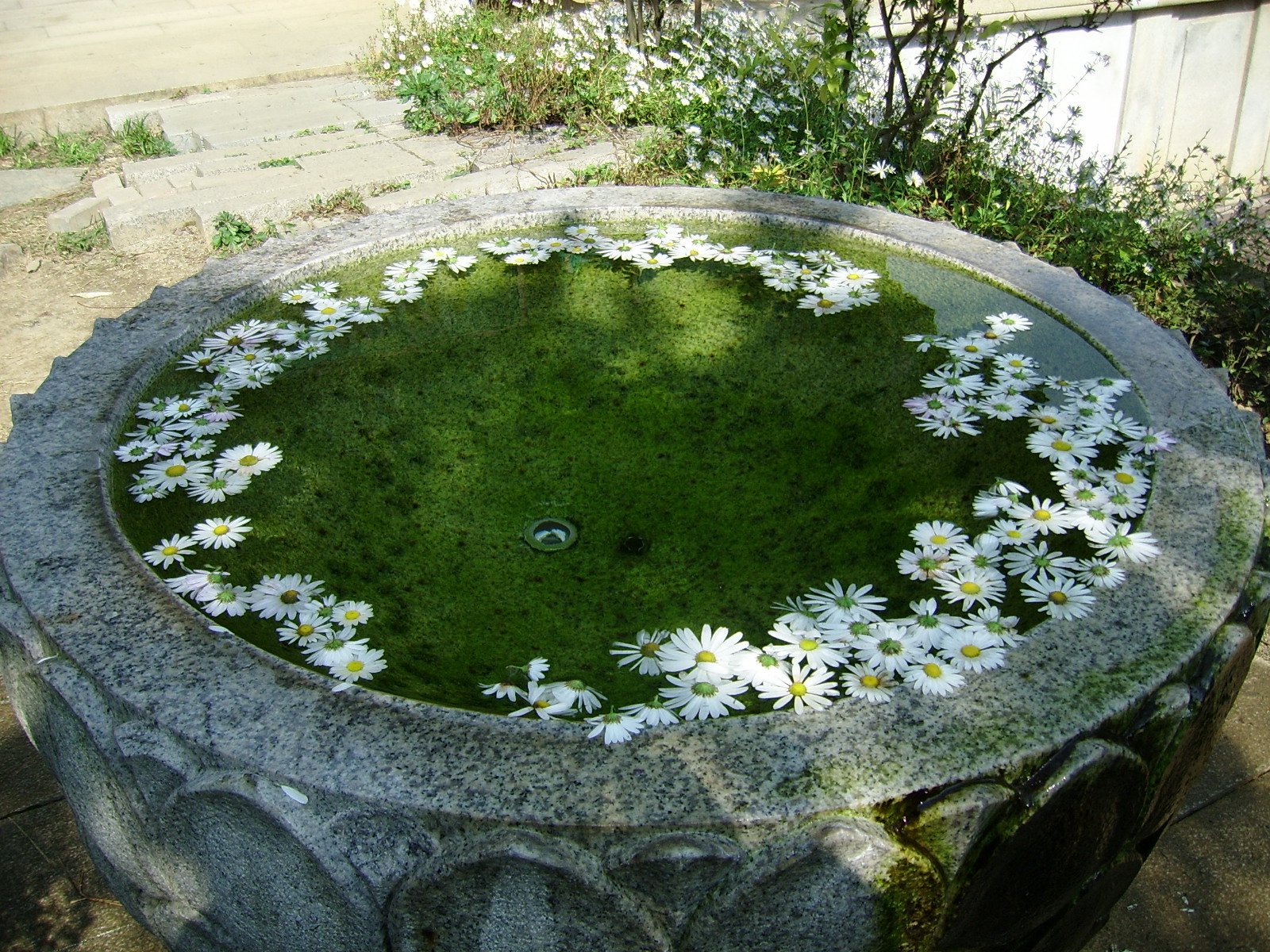 ����ũ��� ����