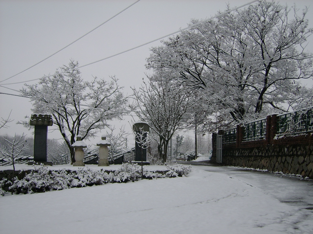 ����ũ��� ����