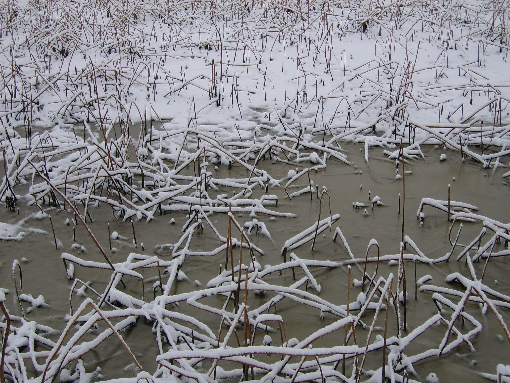 ����ũ��� ����