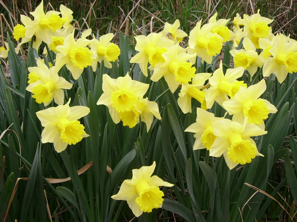 ����ũ��� ����