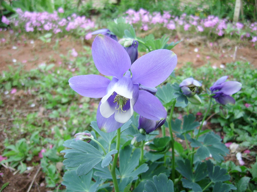 ����ũ��� ����