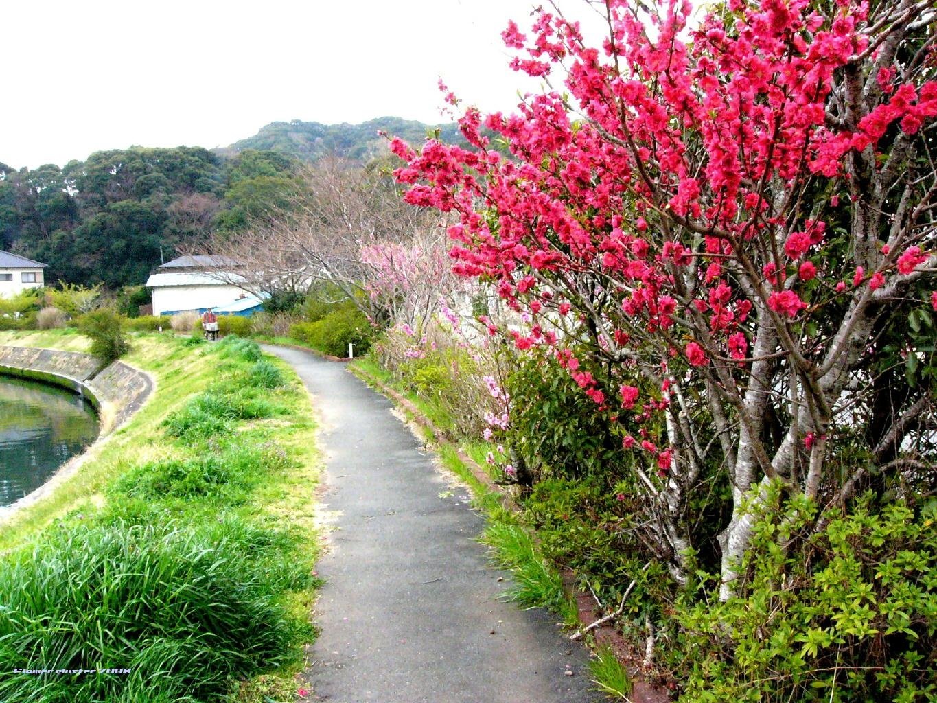 ����ũ��� ����