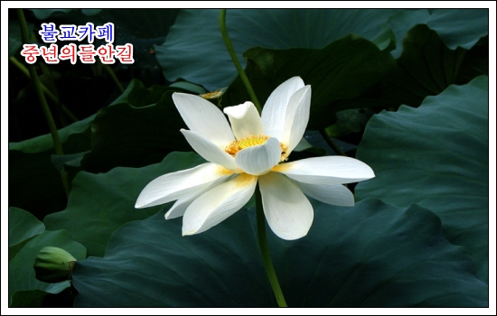 ����ũ��� ����