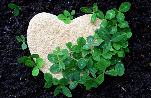 ����ũ��� ����