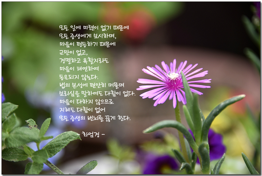 ����ũ��� ����