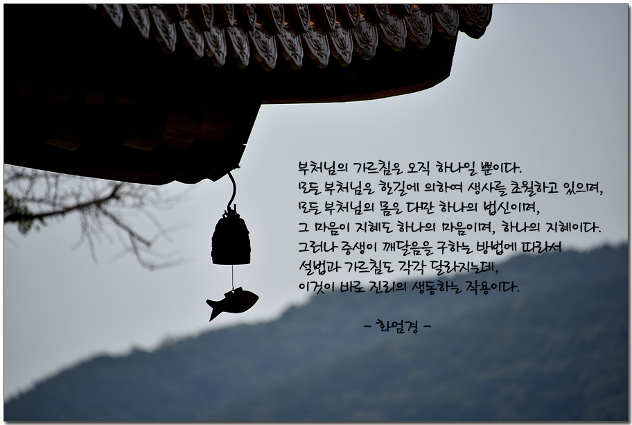 ����ũ��� ����