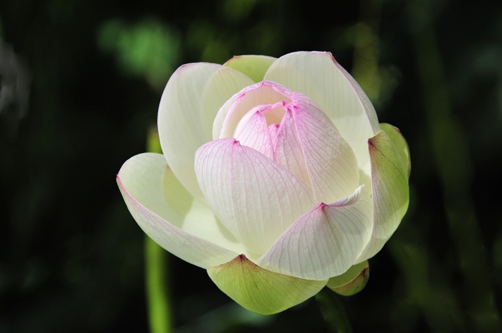 ����ũ��� ����