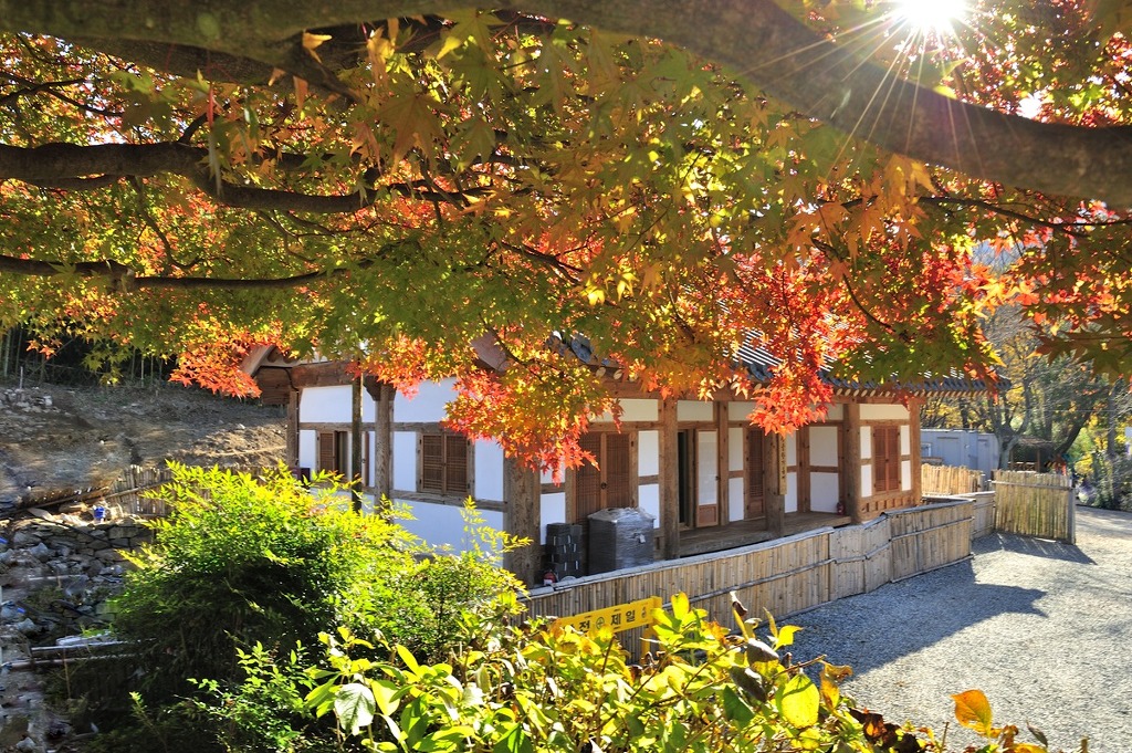 ����ũ��� ����