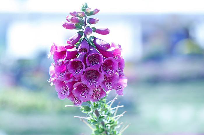 ����ũ��� ����