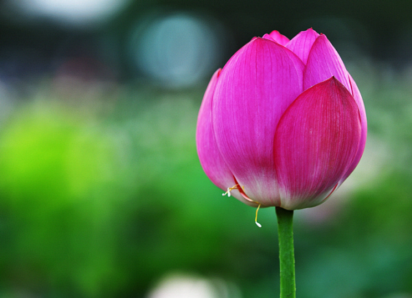 ����ũ��� ����