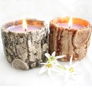 ����ũ��� ����