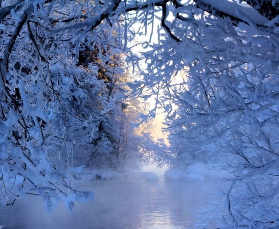 ����ũ��� ����