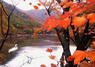 ����ũ��� ����