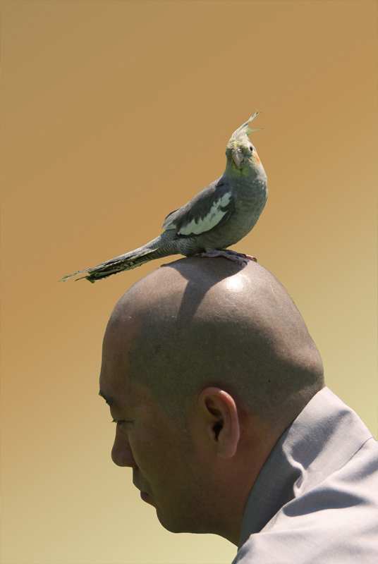 ����ũ��� ����