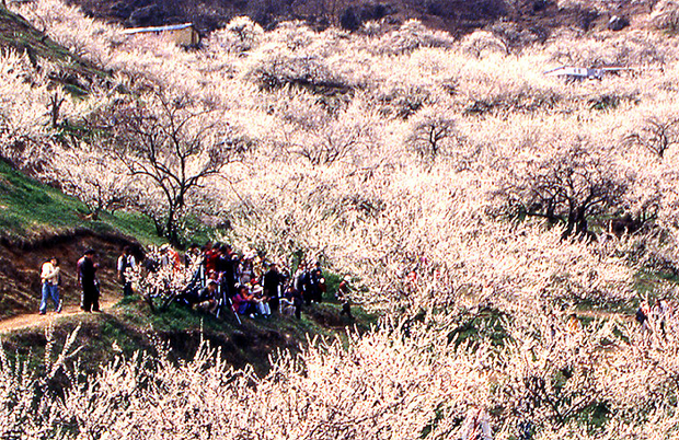 ����ũ��� ����