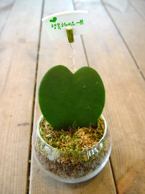 ����ũ��� ����