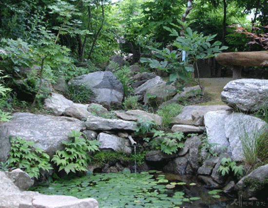 ����ũ��� ����