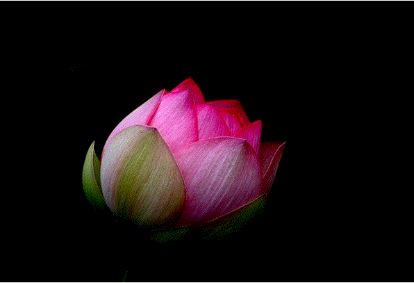 ����ũ��� ����