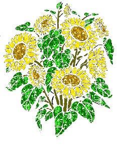 ����ũ��� ����