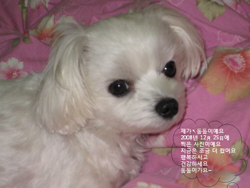 ����ũ��� ����