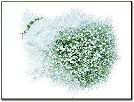 ����ũ��� ����