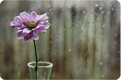 ����ũ��� ����