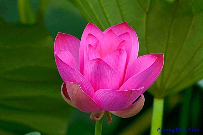 ����ũ��� ����