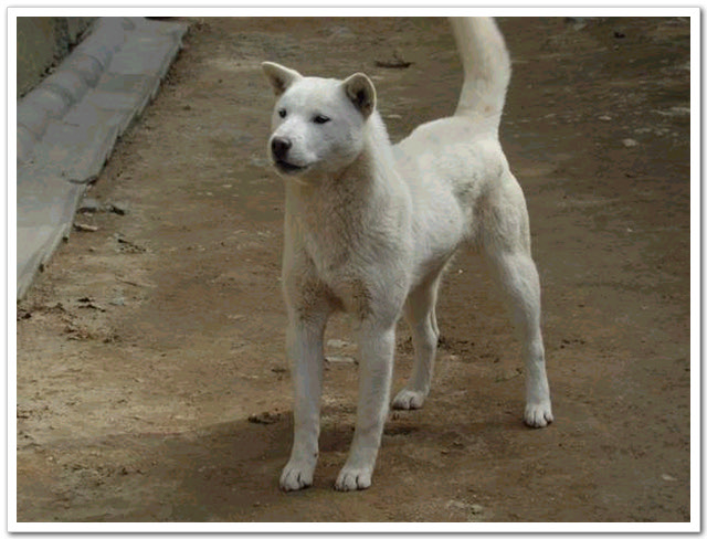 ����ũ��� ����