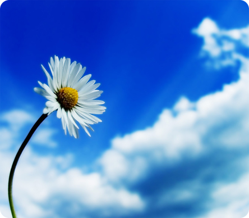 ����ũ��� ����