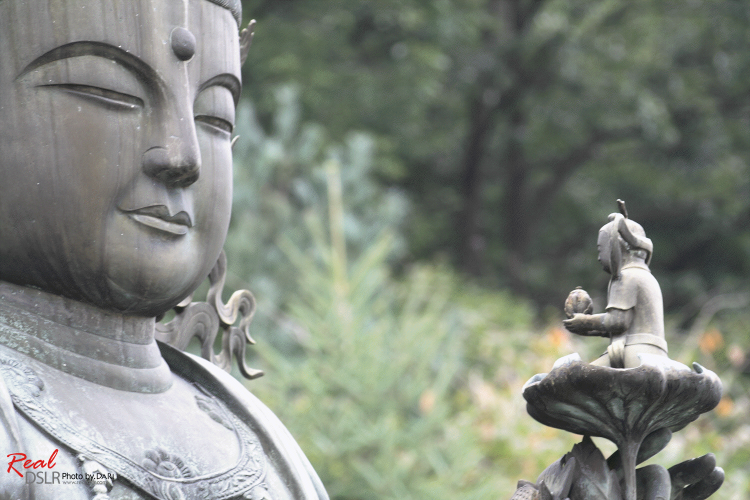 ����ũ��� ����