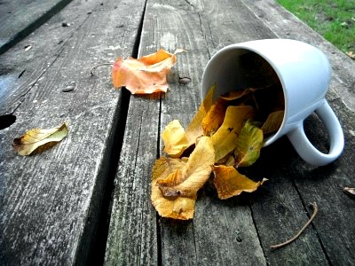 ����ũ��� ����