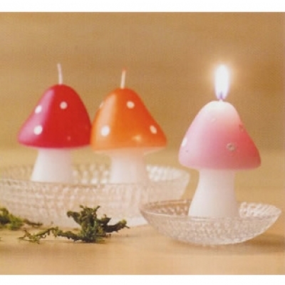 ����ũ��� ����