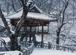 ����ũ��� ����