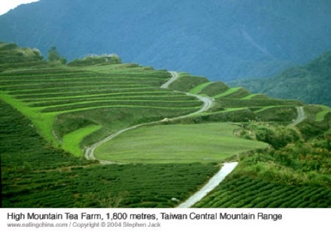 ����ũ��� ����