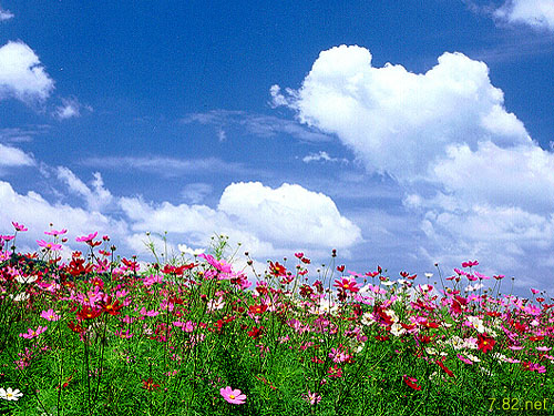 ����ũ��� ����