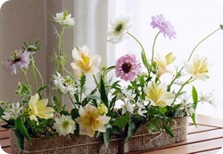 ����ũ��� ����