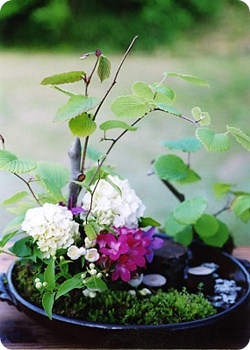 ����ũ��� ����